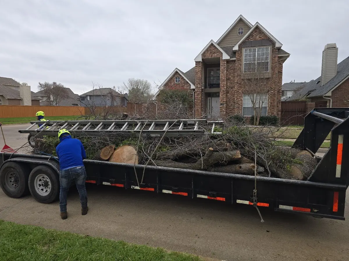 Expert Lot Clearing with proper safety equipment in Pleasantville